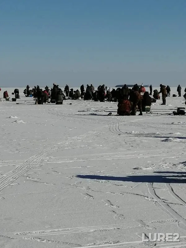 Perch, Pike — Volga, Mar 15, 2019
