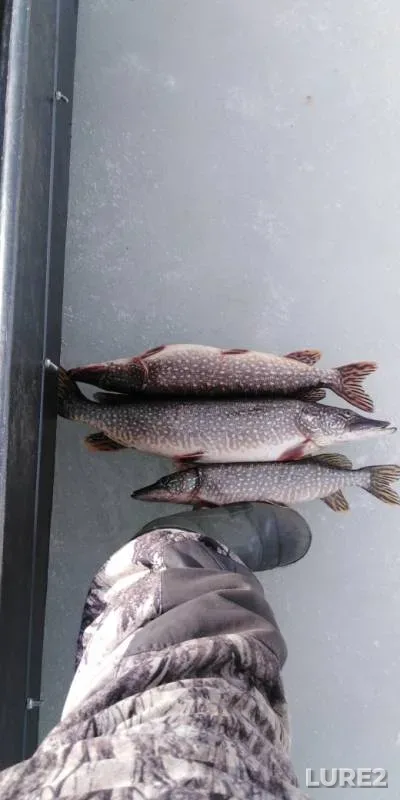 Pike — Rybinskoye, Mar 31, 2019