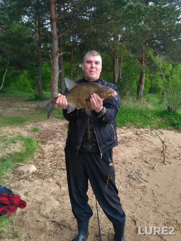Bream — Volga, May 18, 2019