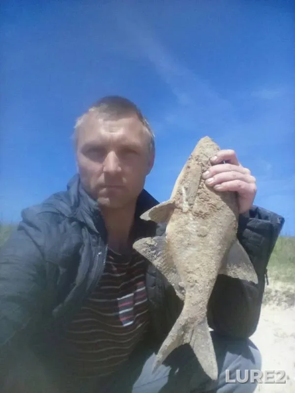 Bream — Utkash, May 24, 2019