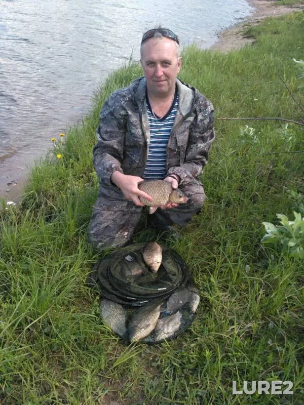 Crucian carp — Sheksna, May 26, 2019