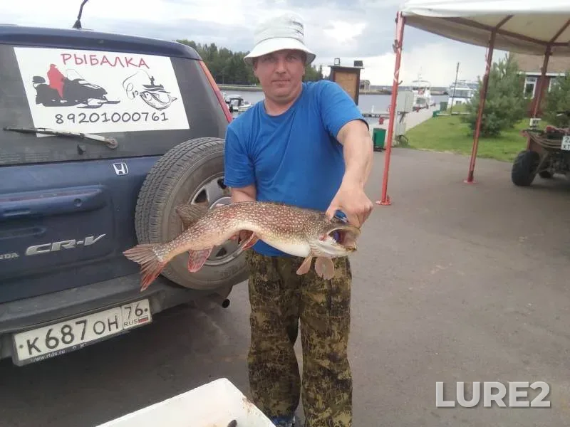 Pike — Volga, Jul 23, 2019