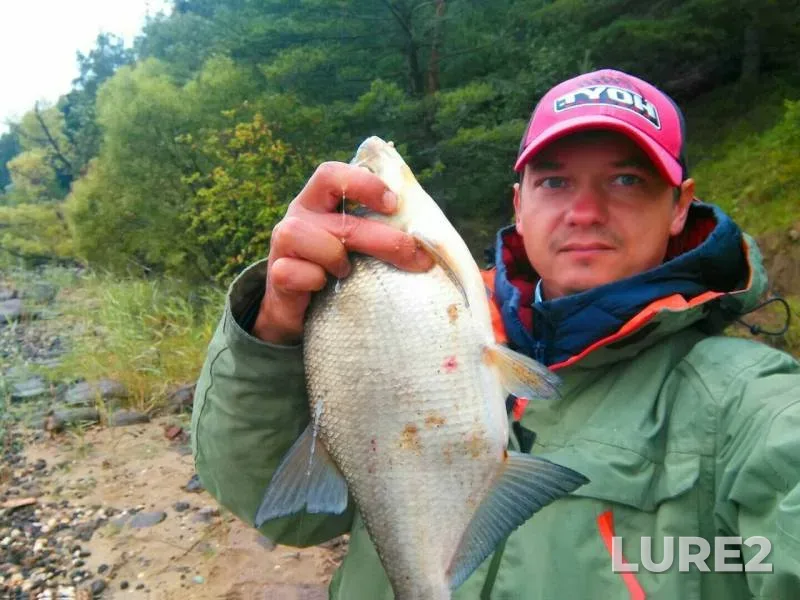 Bream, Roach — Volga, Aug 04, 2019