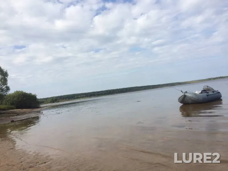 Perch — Volga, Sep 05, 2019