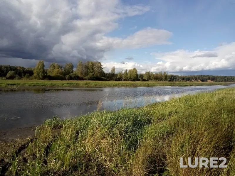 Pike — Volga, Sep 21, 2019