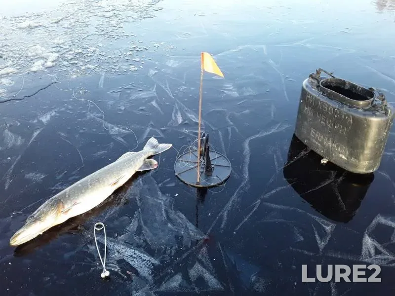 Pike — Dunilovskoye, Nov 23, 2019