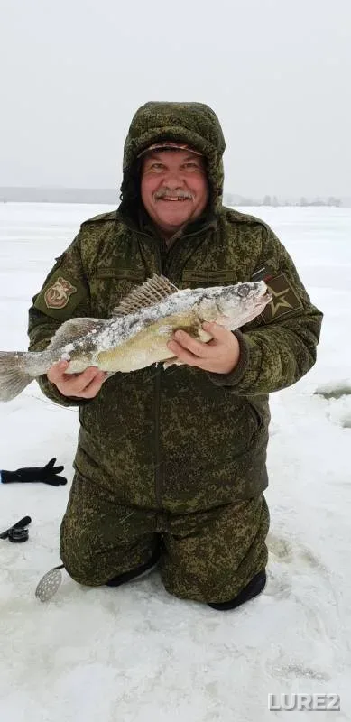 Zander — Volga, Feb 09, 2019