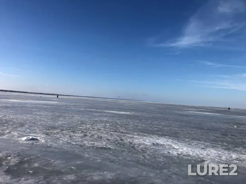 Bream, Roach — Dudergofskiy kanal, Feb 16, 2019