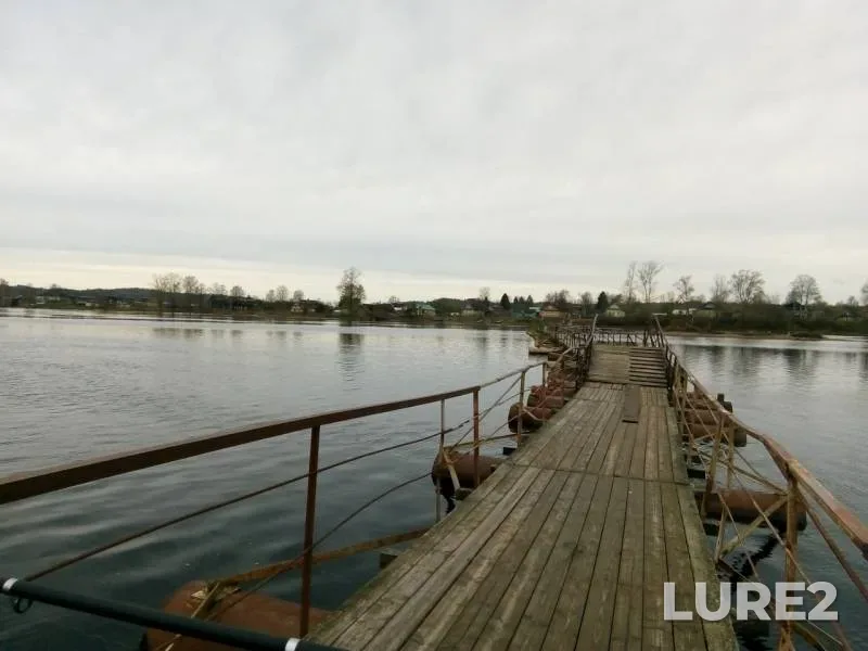 Bream — Vazhinka, May 08, 2019