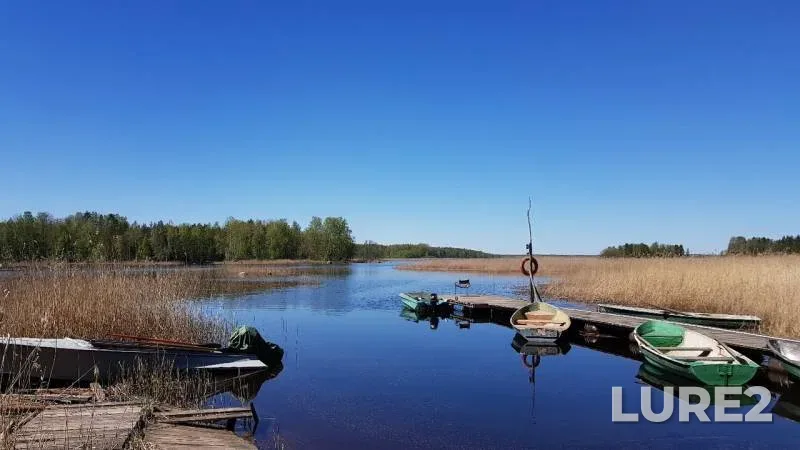 Pike — Balakhanovskoye, May 19, 2019