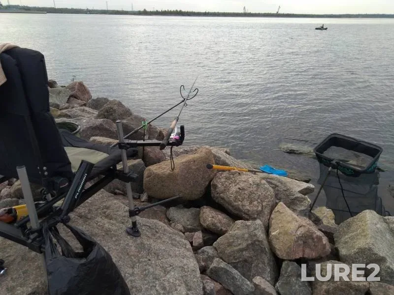 Bream, Roach — Leningradskaya oblast, May 21, 2019