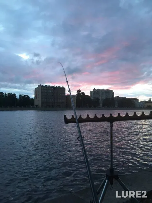 Bream — Bolshoy kanal, Jul 04, 2019