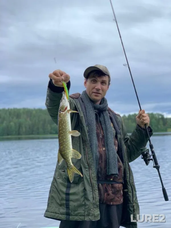 Perch, Pike — Borodinskoye, Jul 13, 2019