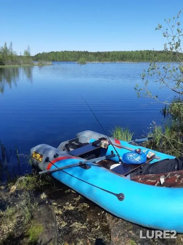 Bream, Roach — Krasnogvardeyskoye, Jul 26, 2019