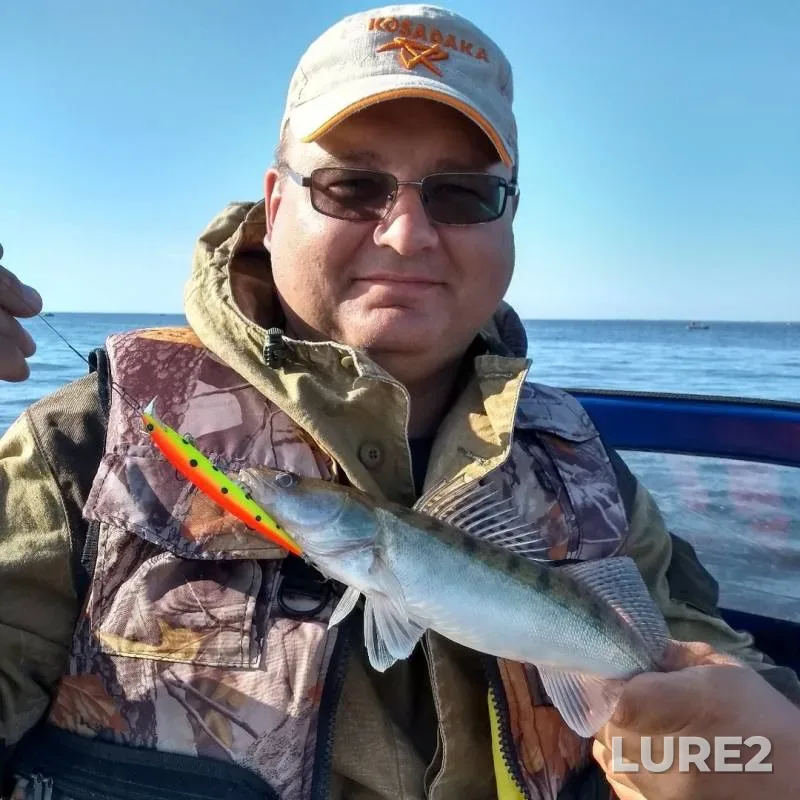 Perch, Zander — Zerkalka, Aug 17, 2019