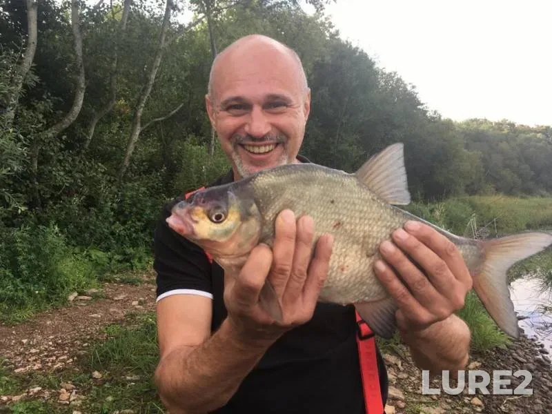 Bream — Volkhov, Sep 01, 2019