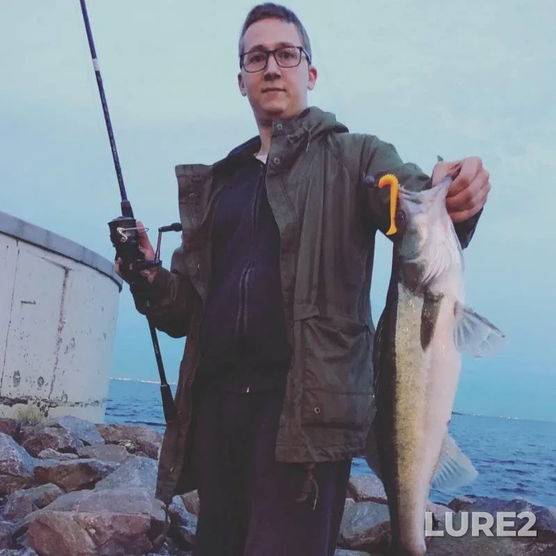 Zander — Leningradskaya oblast, Sep 08, 2019