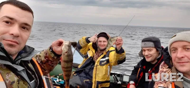 Perch — Leningradskaya oblast, Kirovskiy rayon, Oct 20, 2019