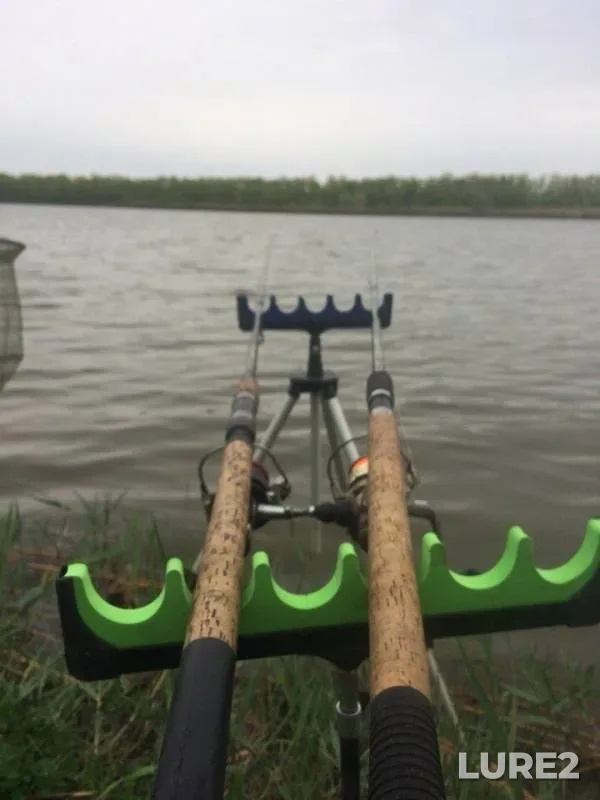 Crucian carp, Perch — Yaseni, May 10, 2018