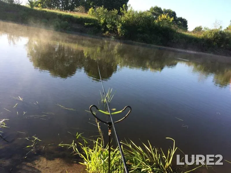 Bream, Roach — Desna, Jun 22, 2018