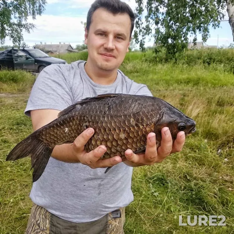 Crucian carp — Kurganskaya oblast, Jul 07, 2019