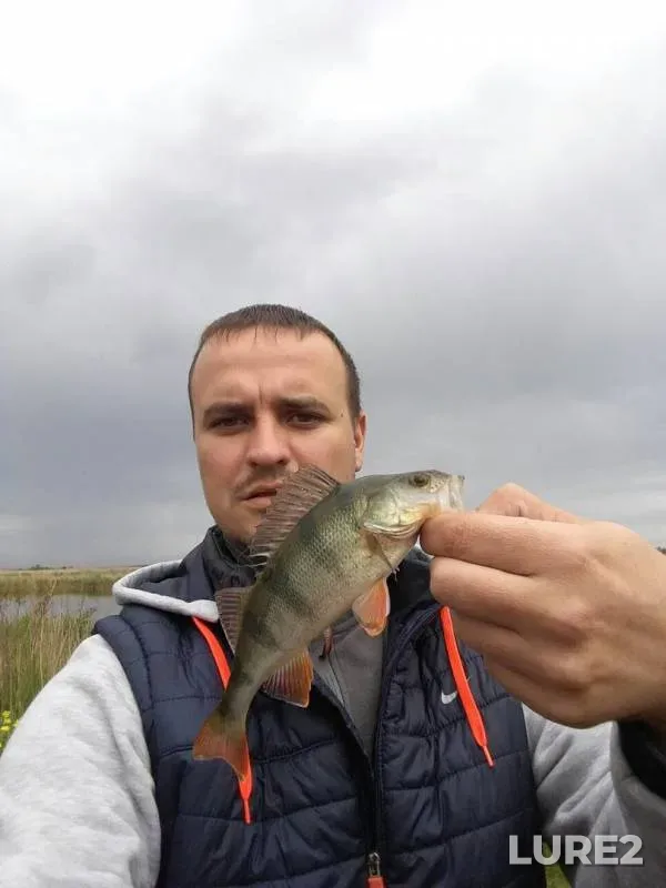 Perch — Dnіpropetrovska oblast, May 20, 2017