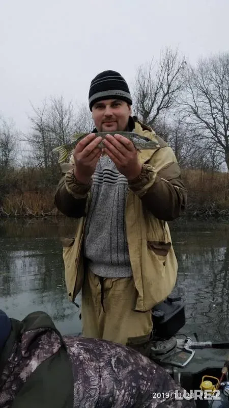 Perch, Pike — Lipa, Oct 24, 2019