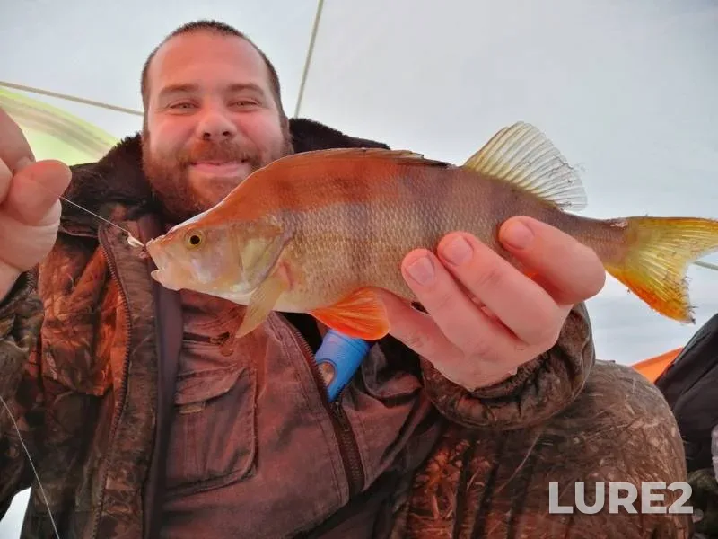 Perch, Roach — Miltonyaun, Mar 16, 2019