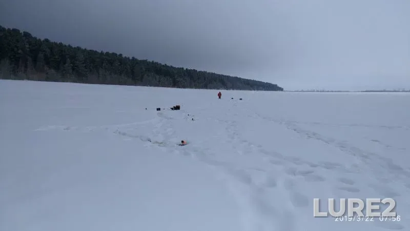 Pike — Khanty-Mansiyskiy avtonomnyy okrug — Yugra, Mar 22, 2019