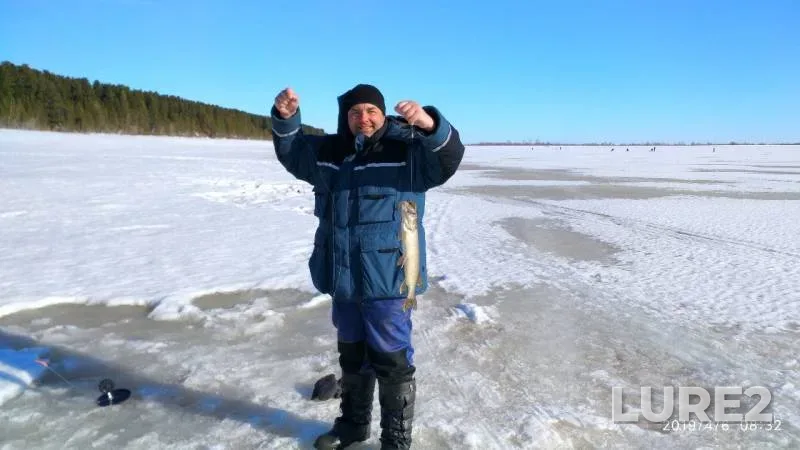 Pike, Roach — Tundrinskaya Kurya, Apr 06, 2019