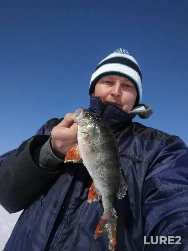 Perch — Toykhlor, Apr 07, 2019