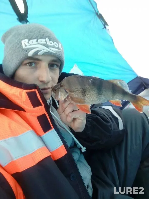 Perch — Khanty-Mansiyskiy avtonomnyy okrug — Yugra, Nefteyuganskiy rayon, Apr 16, 2019