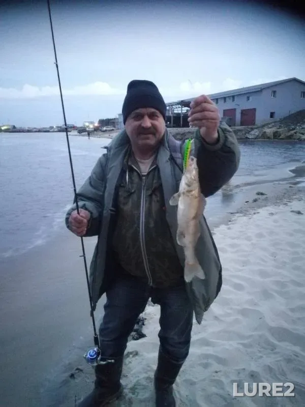 Zander — GRES, May 10, 2019