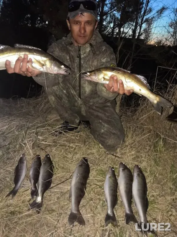Perch, Zander — GRES, May 12, 2019