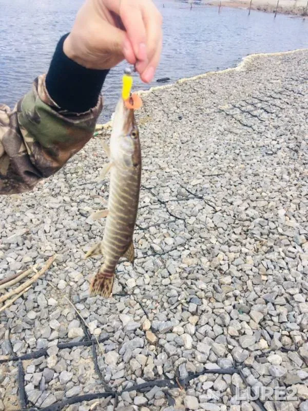 Pike — GRES, May 30, 2019
