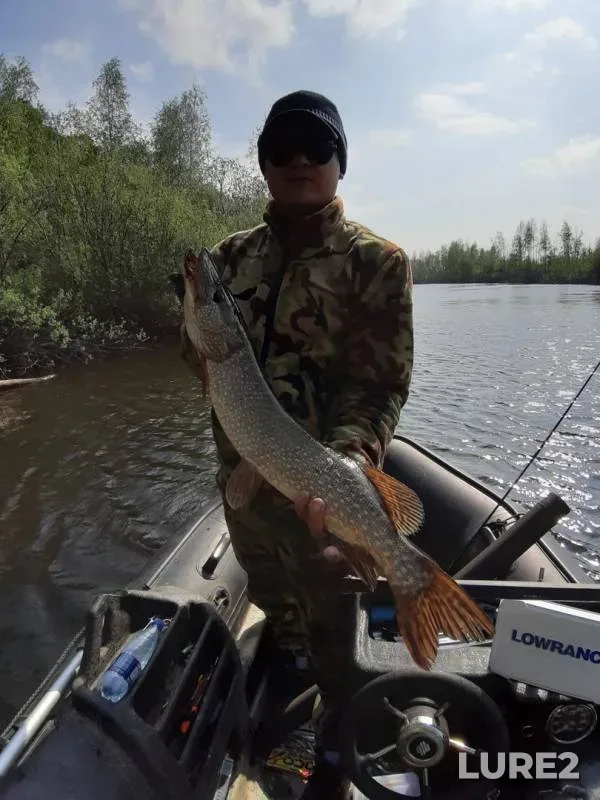 Pike — protoka Utoplaya, Jun 08, 2019