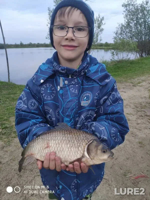 Crucian carp — Khanty-Mansiyskiy avtonomnyy okrug — Yugra, Nefteyuganskiy rayon, Jun 09, 2019