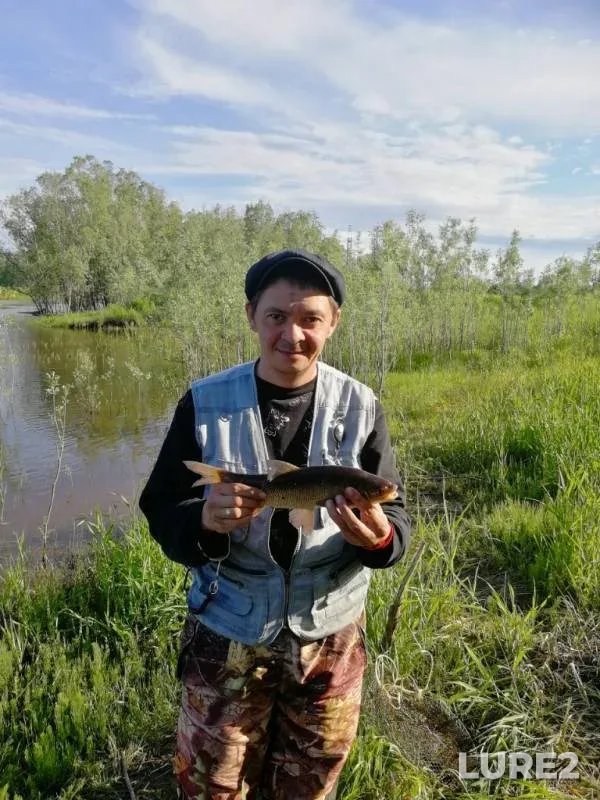 Perch — protoka Kazennaya, Jun 25, 2019
