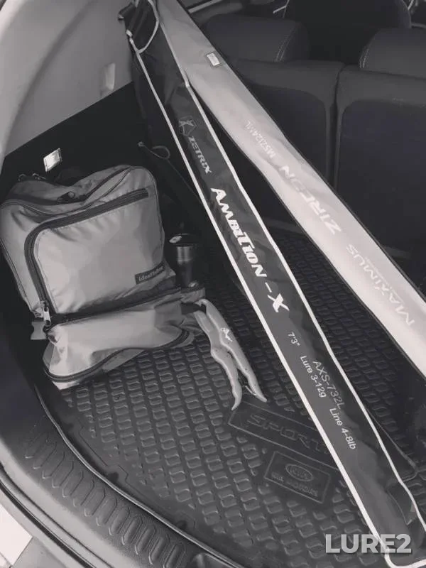Perch, Pike — Yogarturiy, Jul 08, 2019