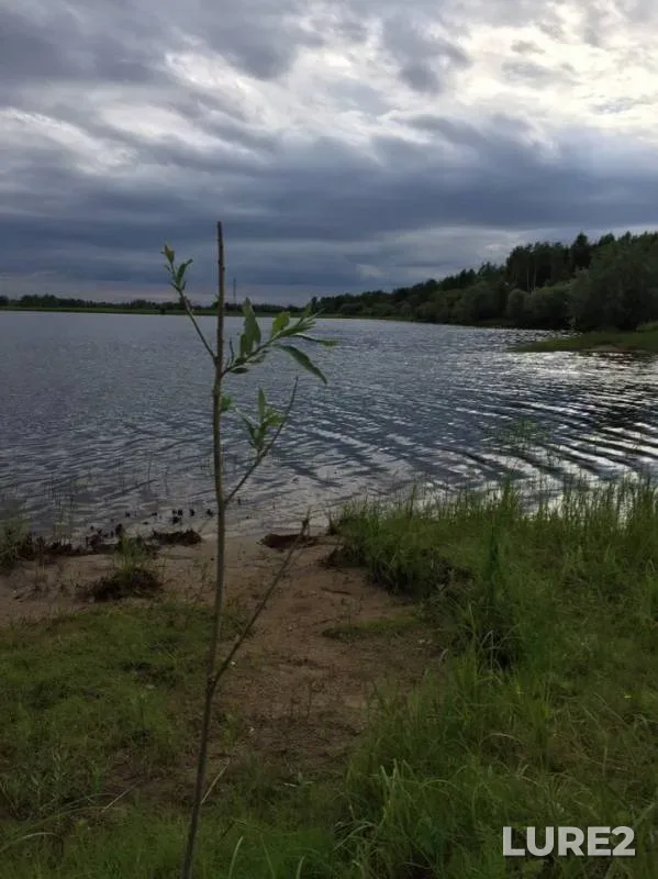 Pike — Kopan, Jul 10, 2019