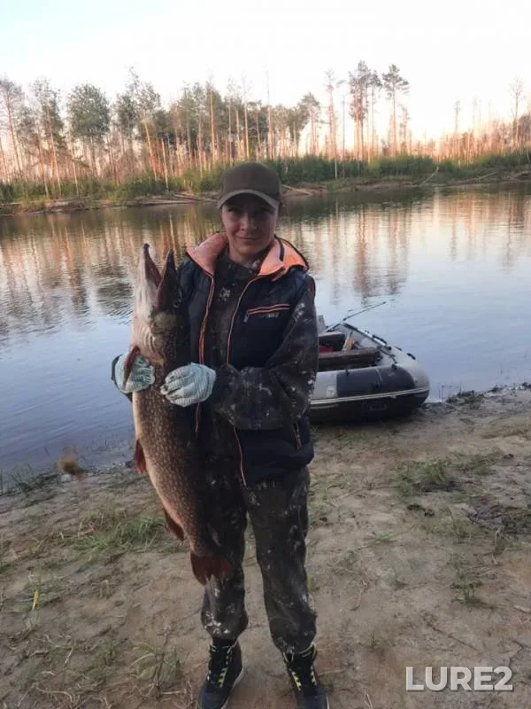 Pike — Lyamin, Jul 13, 2019