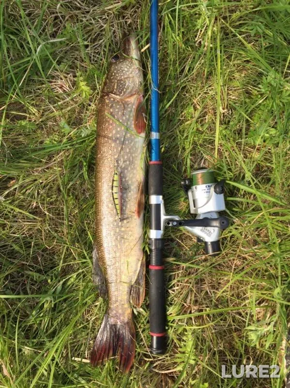 Pike — Kopan, Jul 19, 2019