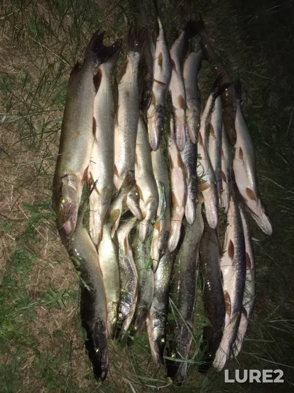 Pike — Ob, Jul 20, 2019