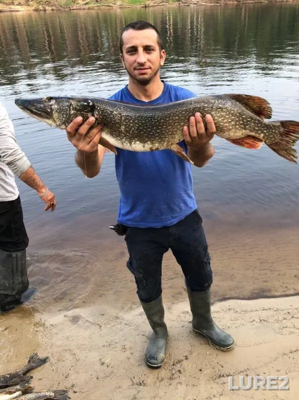 Pike — Lyamin, Jul 23, 2019