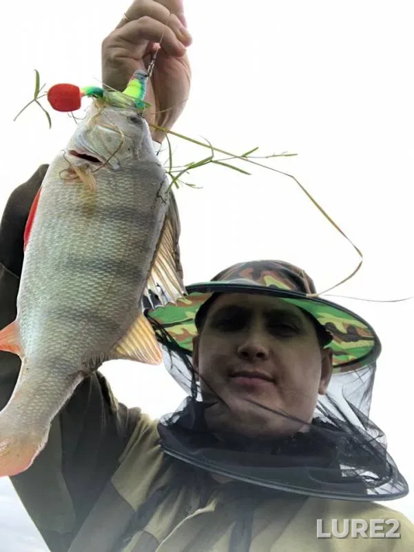 Perch, Pike — protoka Sukhoy Agan, Jul 25, 2019