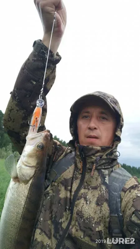Zander — Tundrinskaya Kurya, Jul 27, 2019
