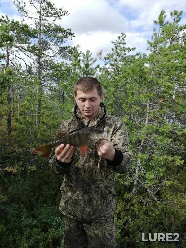 Pike — Piltanlor, Jul 28, 2019