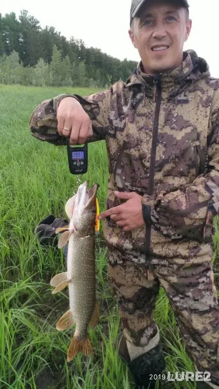 Pike — Tundrinskaya Kurya, Jul 30, 2019