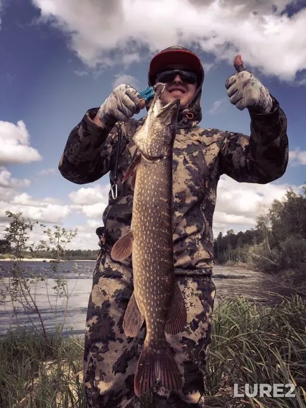 Perch, Pike — Khanty-Mansiyskiy avtonomnyy okrug — Yugra, Aug 03, 2019