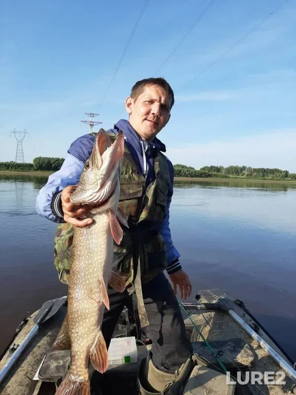 Ide, Pike — Yuganskaya Ob, Aug 18, 2019